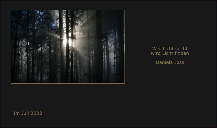 Zauberhaftes Licht strahlt durch den nebeldurchfluteten Wald