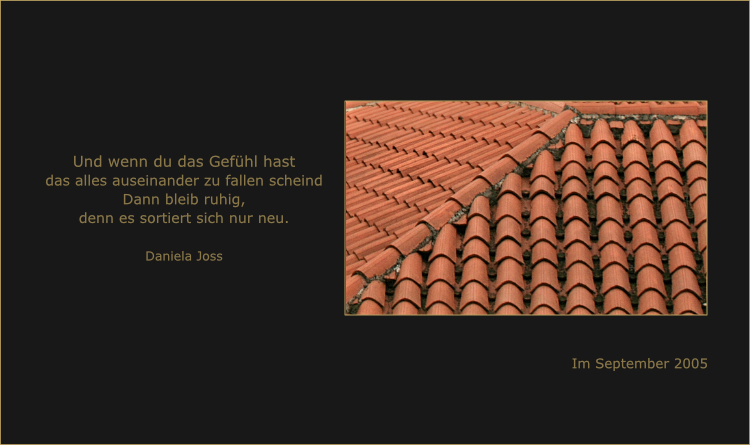 Einfach ein Ziegeldach.