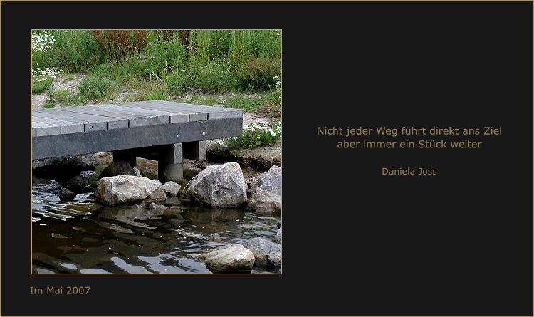 Holzsteg der im seichten Wasser steht.