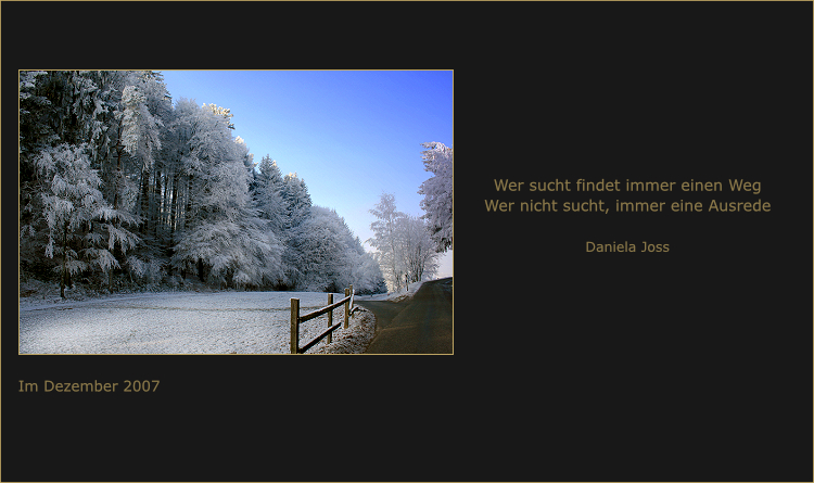 Waldlichtung, bedeckt mit Rauhreif.