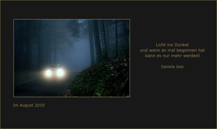 Scheinwerferlicht eines herannahenden Fahrzeuges, auf einem nebligen Waldweg.