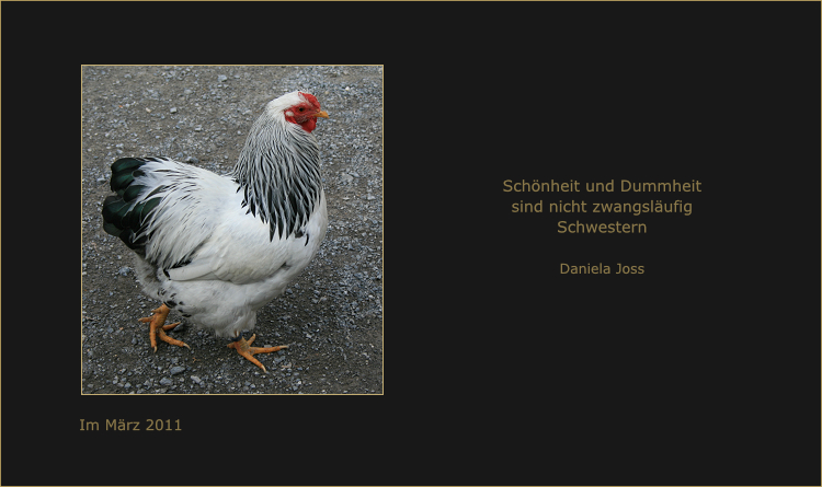 Weiss-schwarzes Huhn auf einem Kiesweg.