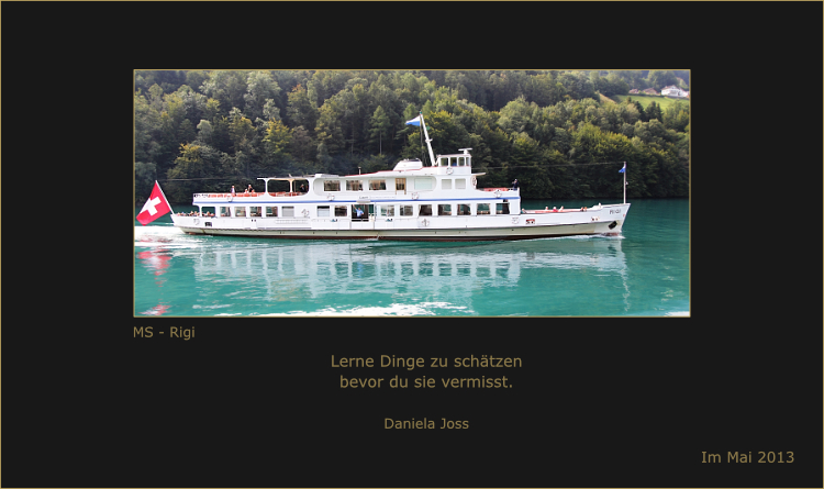 MS-Rigi