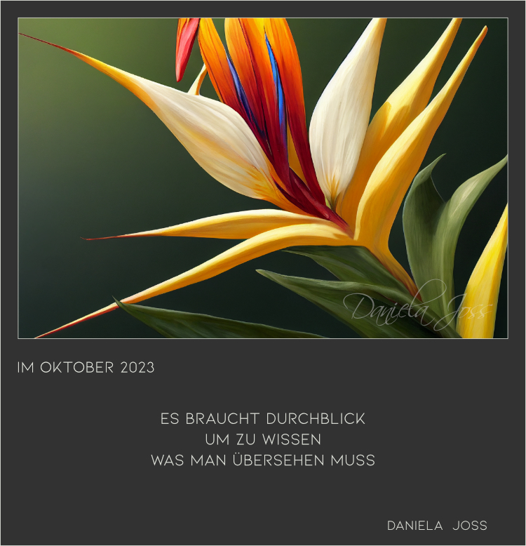 Bunte Paradiesvogelblume, oder Strelizie.
