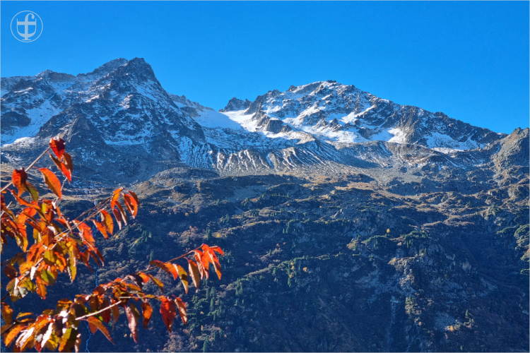 Daniela Joss - Olma - 2025