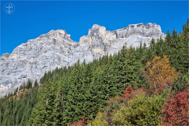 Daniela Joss - Olma - 2025