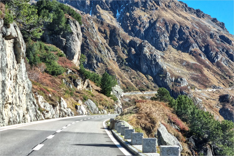 Daniela Joss - Olma - 2025