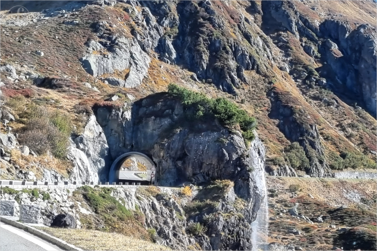 Daniela Joss - Olma - 2025