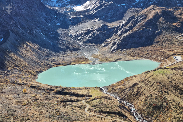 Daniela Joss - Olma - 2025