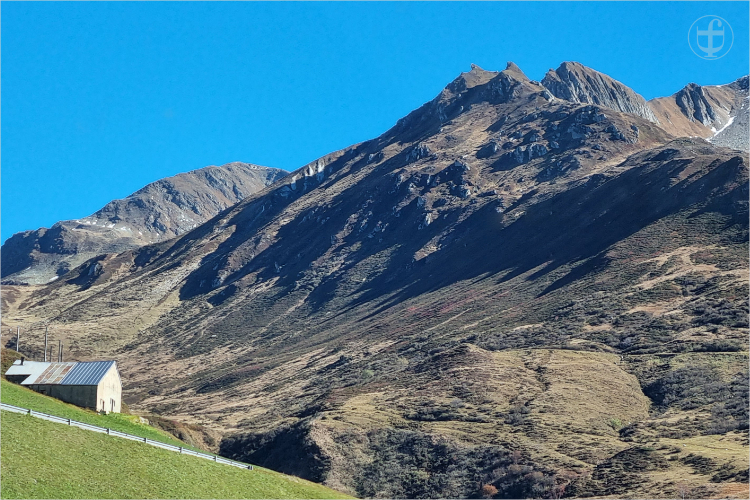 Daniela Joss - Olma - 2025