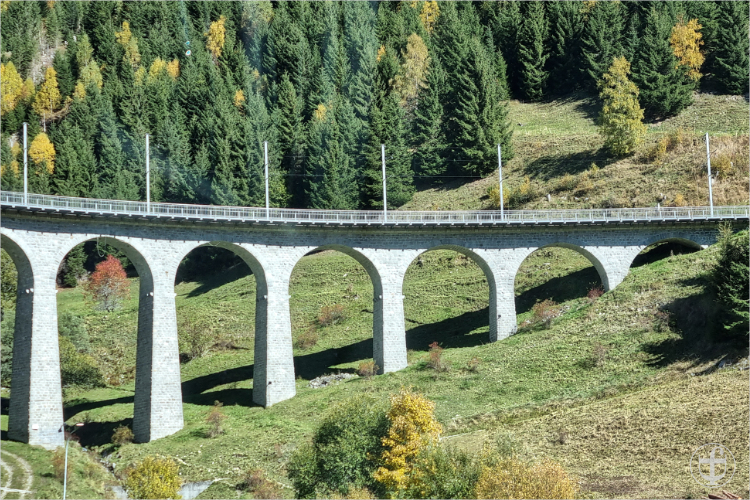 Daniela Joss - Olma - 2025