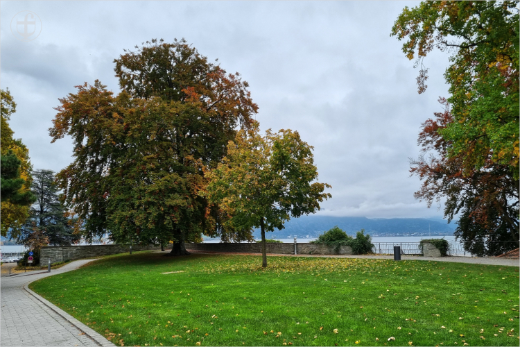 Daniela Joss - Olma - 2025