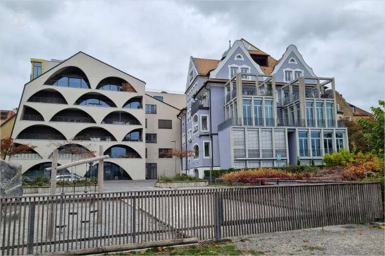 Daniela Joss - Olma - 2025