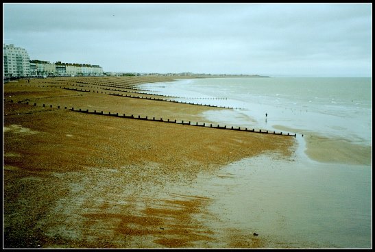 Daniela Joss Eastbourne