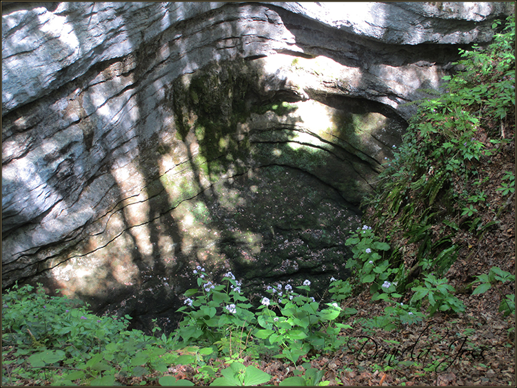 Daniela Joss - Durch die Schlucht der Areuse - Kanton Neuenburg