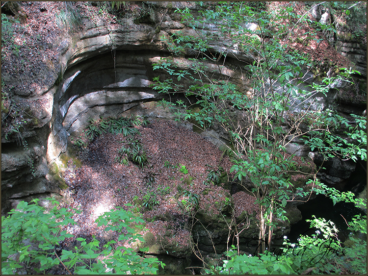 Daniela Joss - Durch die Schlucht der Areuse - Kanton Neuenburg