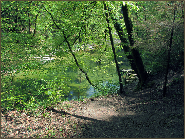 Daniela Joss - Durch die Schlucht der Areuse - Kanton Neuenburg