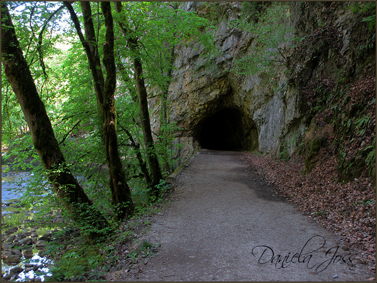 Daniela Joss - Durch die Schlucht der Areuse - Kanton Neuenburg