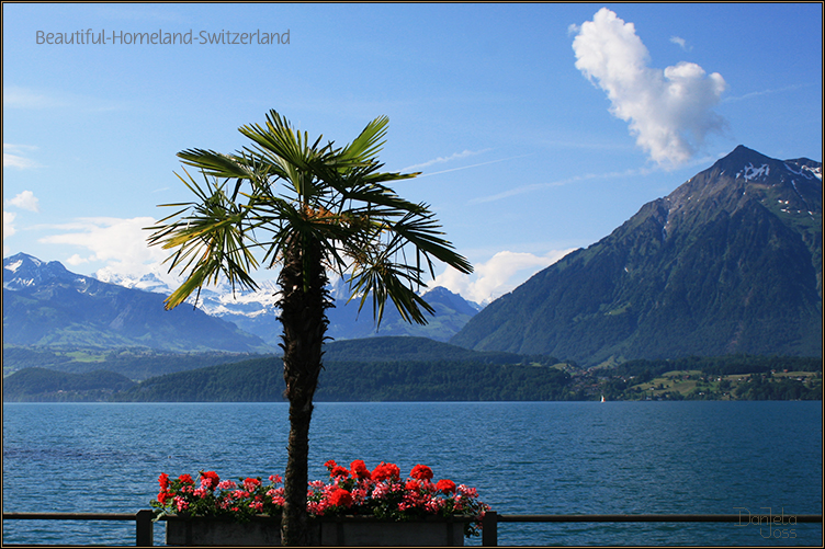 Beautiful Homeland Switzerland Daniela Joss
