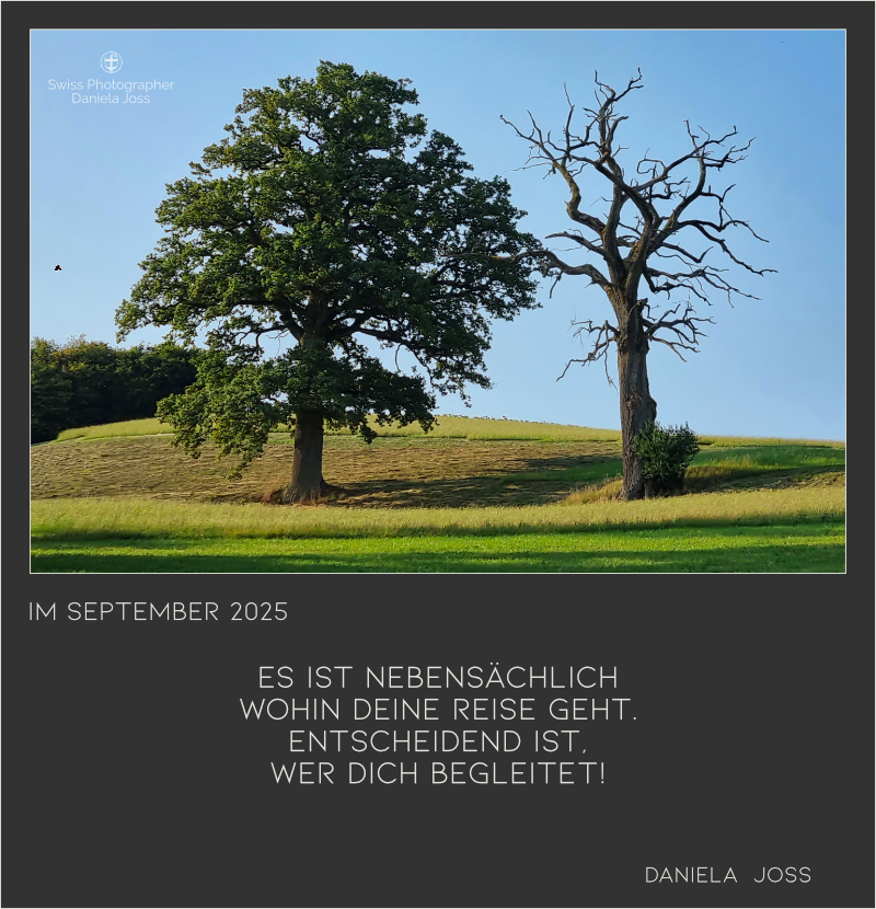 Gedankenbilder Daniela Joss