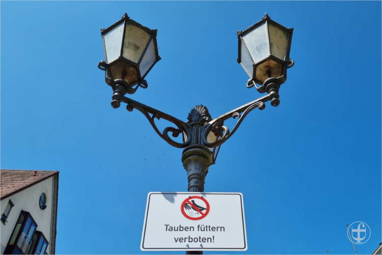 Daniela Joss - Schloss Sigmaringen