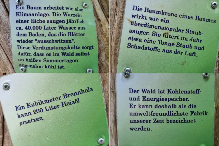 Daniela Joss - Kolbinger Höhle