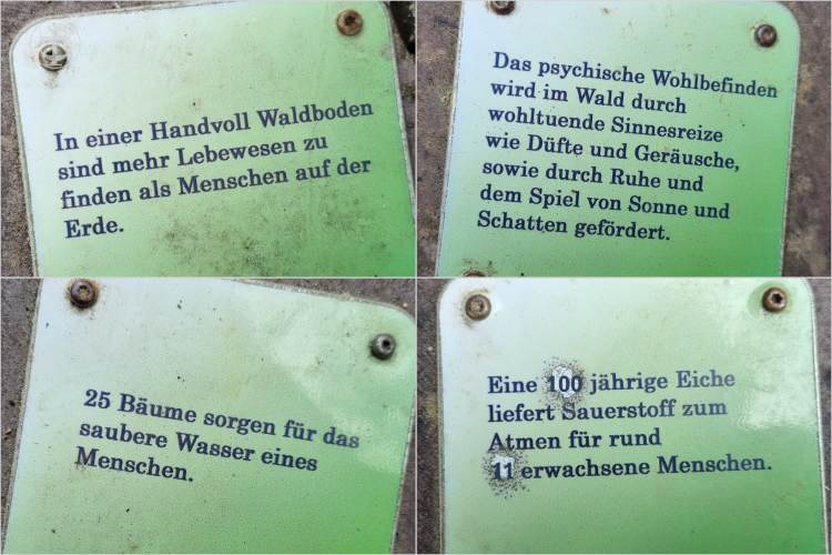 Daniela Joss - Kolbinger Höhle