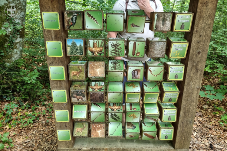 Daniela Joss - Kolbinger Höhle