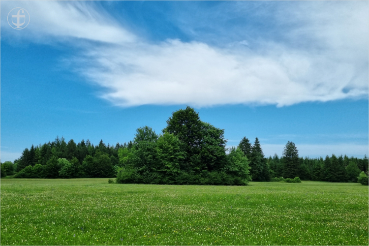 Daniela Joss - Kolbinger Höhle