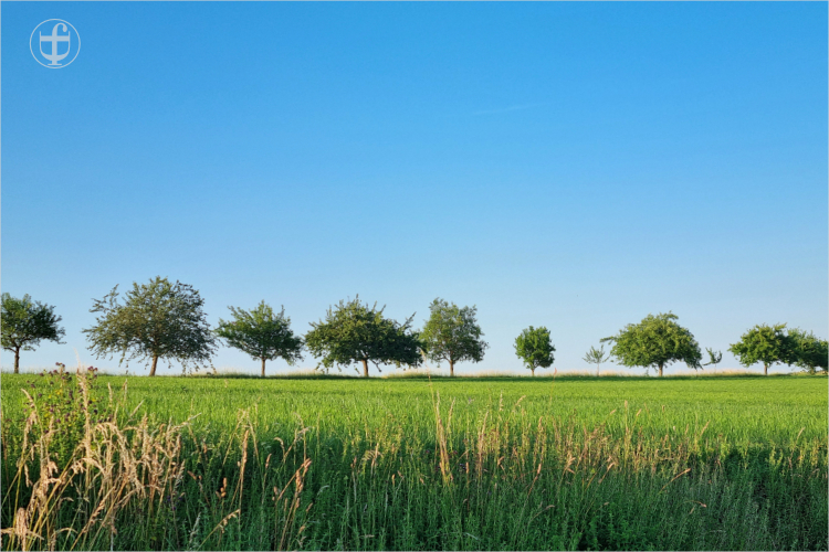Daniela Joss - Chillen