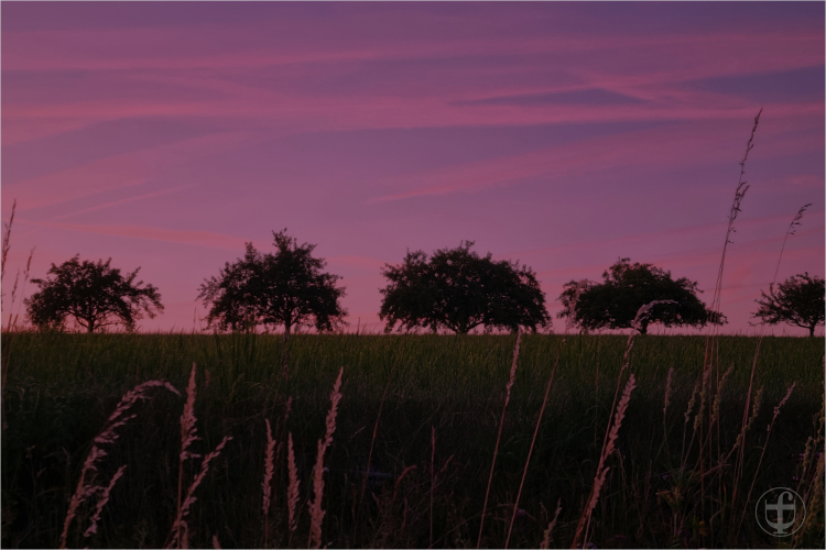 Daniela Joss - Donautal