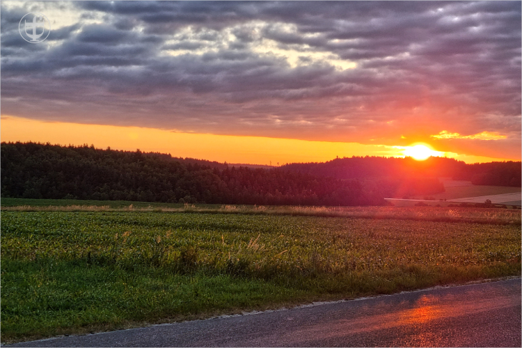 Daniela Joss - Donauradweg