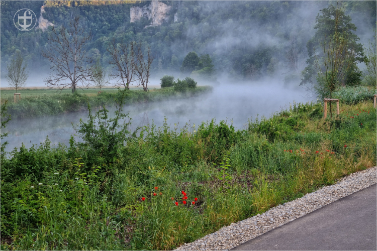 Daniela Joss - Donauradweg