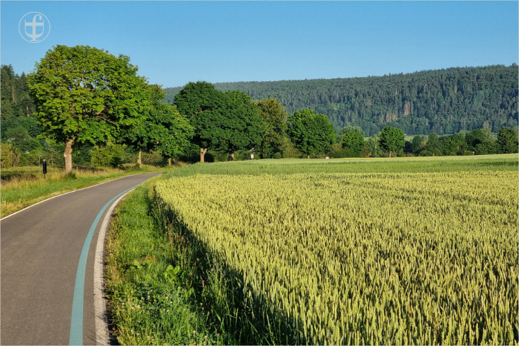 Daniela Joss - Donauradweg