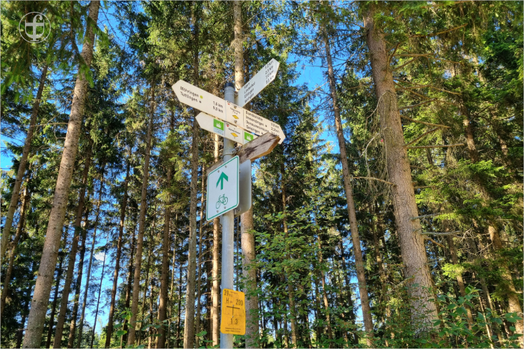 Daniela Joss - Donauradweg