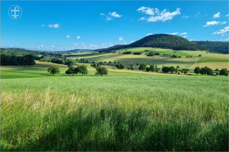 Daniela Joss - Donauradweg