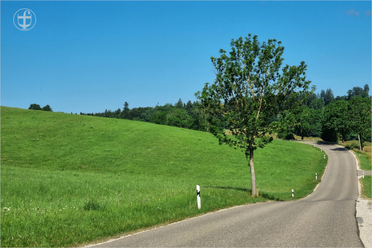 Daniela Joss - Donauradweg