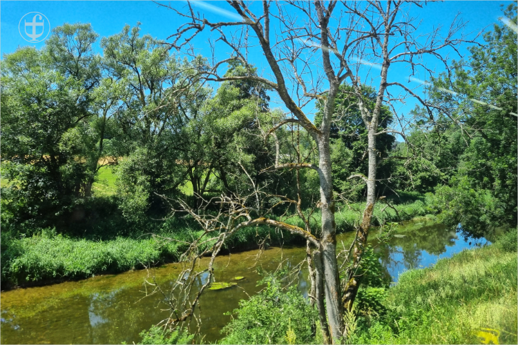 Daniela Joss - Donauradweg