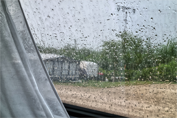 Daniela Joss - Weissstorch