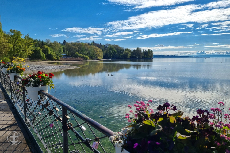 Insel Mainau - Daniela Joss