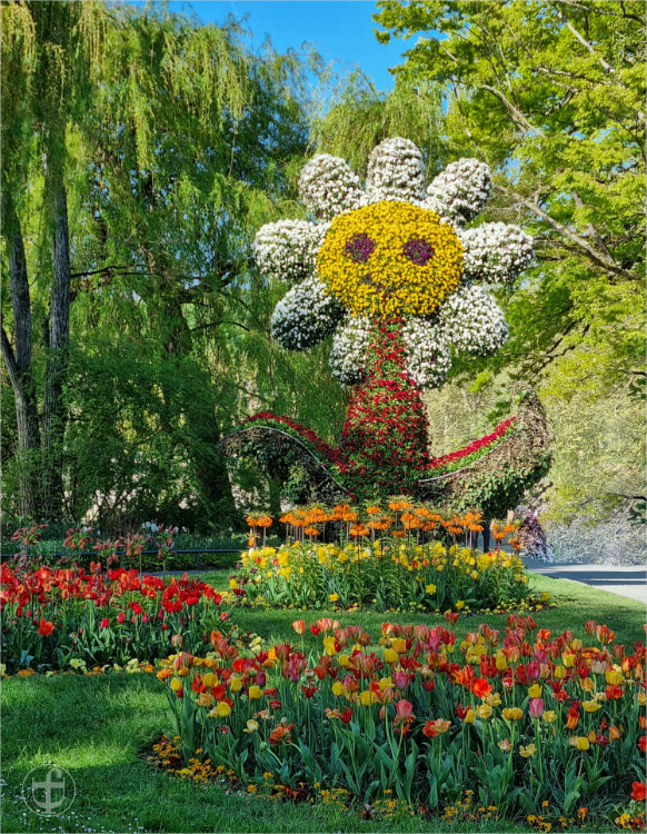 Insel Mainau - Daniela Joss