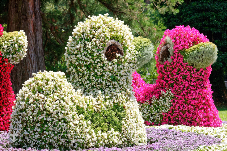 Insel Mainau - Daniela Joss