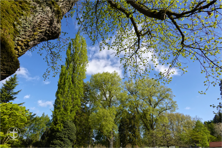Insel Mainau - Daniela Joss