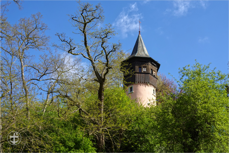 Insel Mainau - Daniela Joss