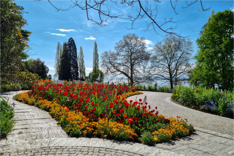 Insel Mainau - Daniela Joss