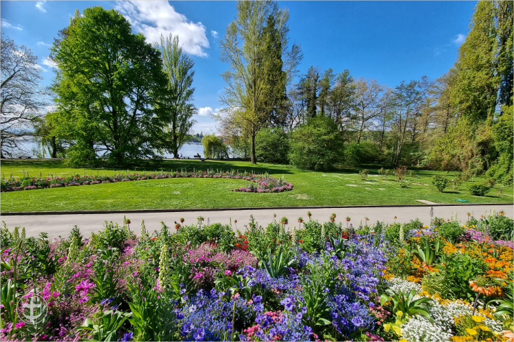 Insel Mainau - Daniela Joss