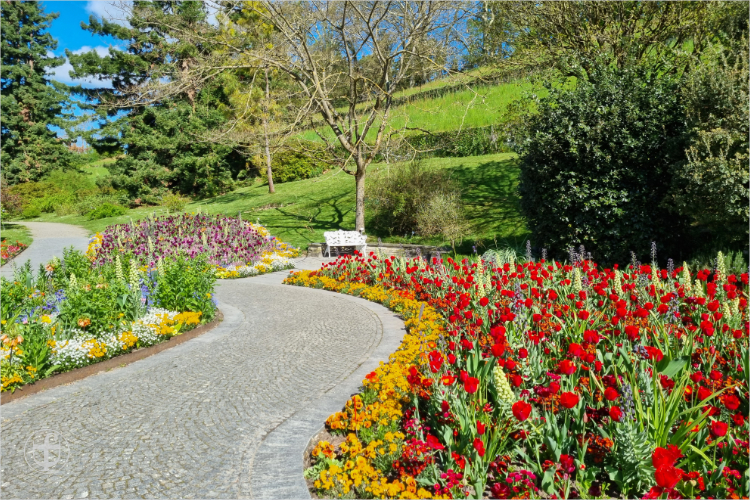 Insel Mainau - Daniela Joss