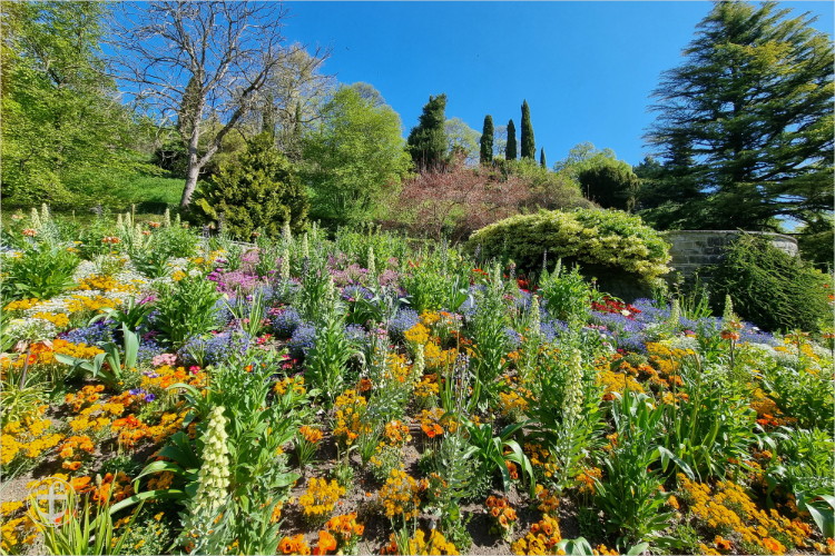 Insel Mainau - Daniela Joss