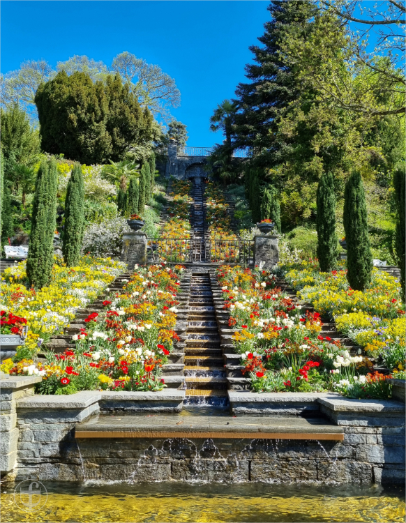 Insel Mainau - Daniela Joss