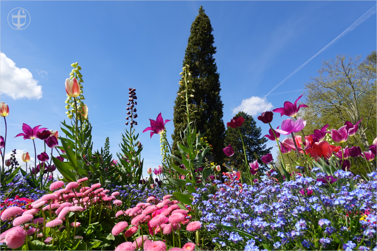 Insel Mainau - Daniela Joss